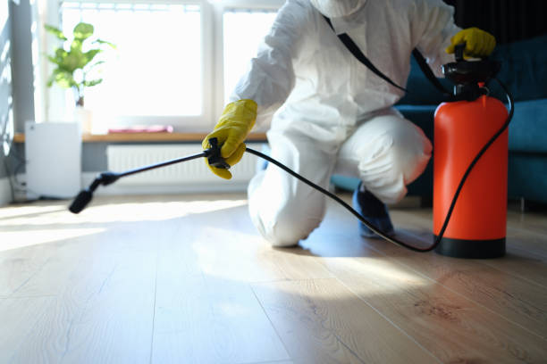 Professional Pest Control in Dryden, MI